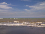 f8a2886d.jpg