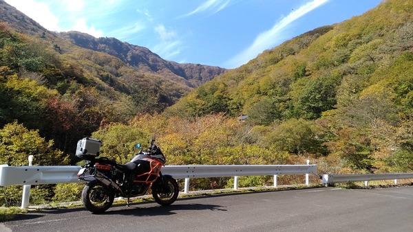 P_20181018_104003_vHDR_Auto
