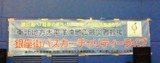 ae902fa5.jpg