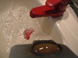 moisture
