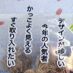 tonchi
