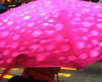 umbrella6