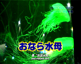 kurage