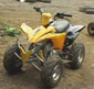 buggy