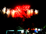 disney14