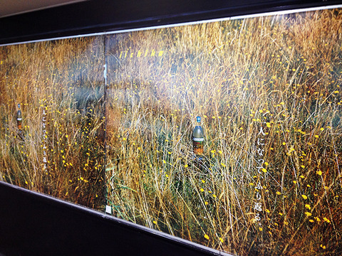 デザインを変えていい時／変えてはいけない時：『いいちこ』のポスター