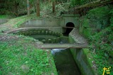 IMGP7677だい