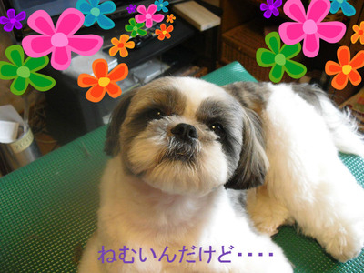 BlogPaint