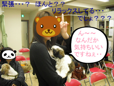 BlogPaint