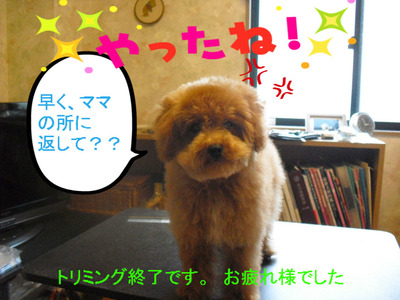 BlogPaint