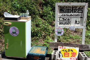 rie5283.jpg