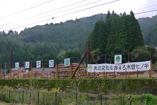 rie13860.jpg
