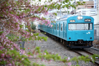 rie17265