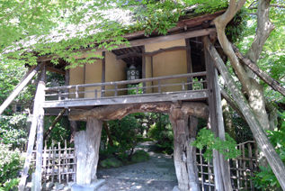 rie15718
