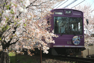 rie17332