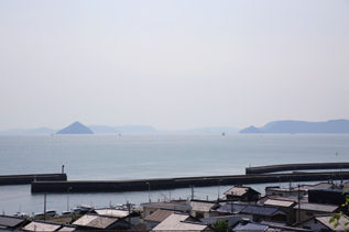 rie17598