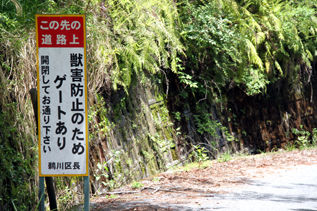rie8554.jpg