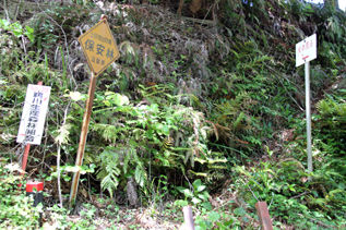 rie8555.jpg