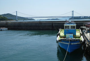 rie17618