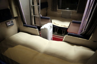 rie16392