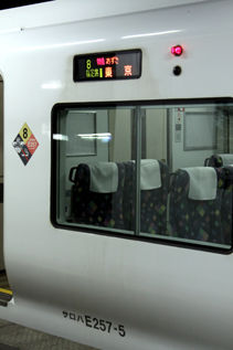 rie9878.jpg