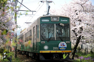 rie17330