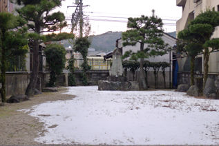 rie16788