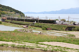 rie8561.jpg