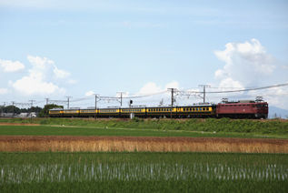 rie8630.jpg