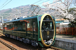 rie17205