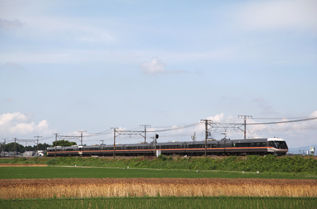 rie8629.jpg