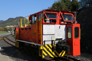rie17135