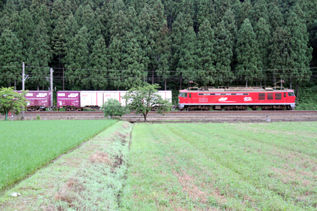 rie6782.jpg