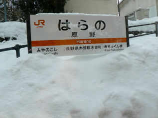 rie10151.jpg