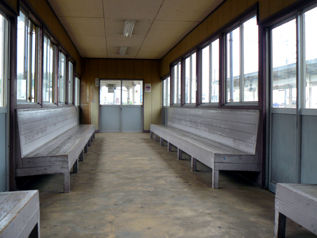 rie10930.jpg