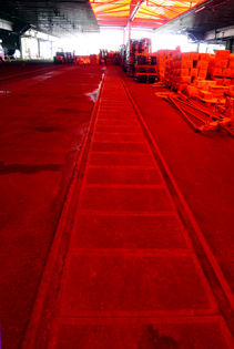 rie16351