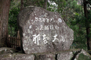 rie3220.jpg
