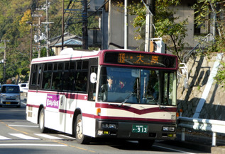 rie18437