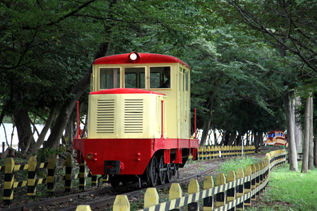 rie9130.jpg