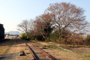 rie7648.jpg