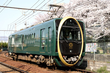 rie19497