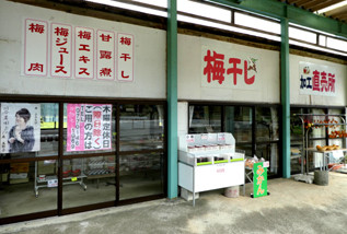 rie18498