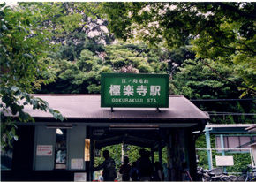 rie575.jpg
