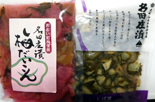 rie18519