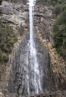 rie3228.jpg