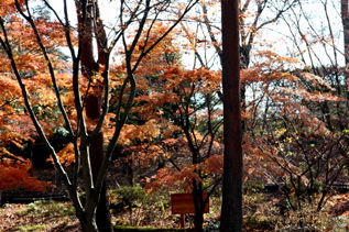 rie9897.jpg
