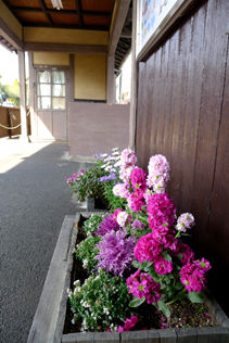 rie14822.jpg