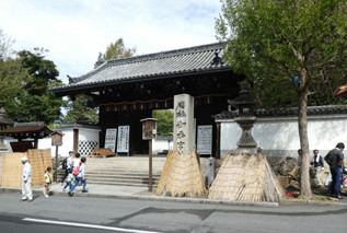 rie18175
