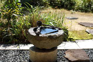 rie11757.jpg