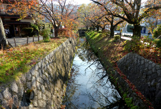 rie18488